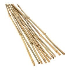 Bambu Fidan Dikim Destek Çubuğu (70-75 cm - 5mm) (10 Adet)