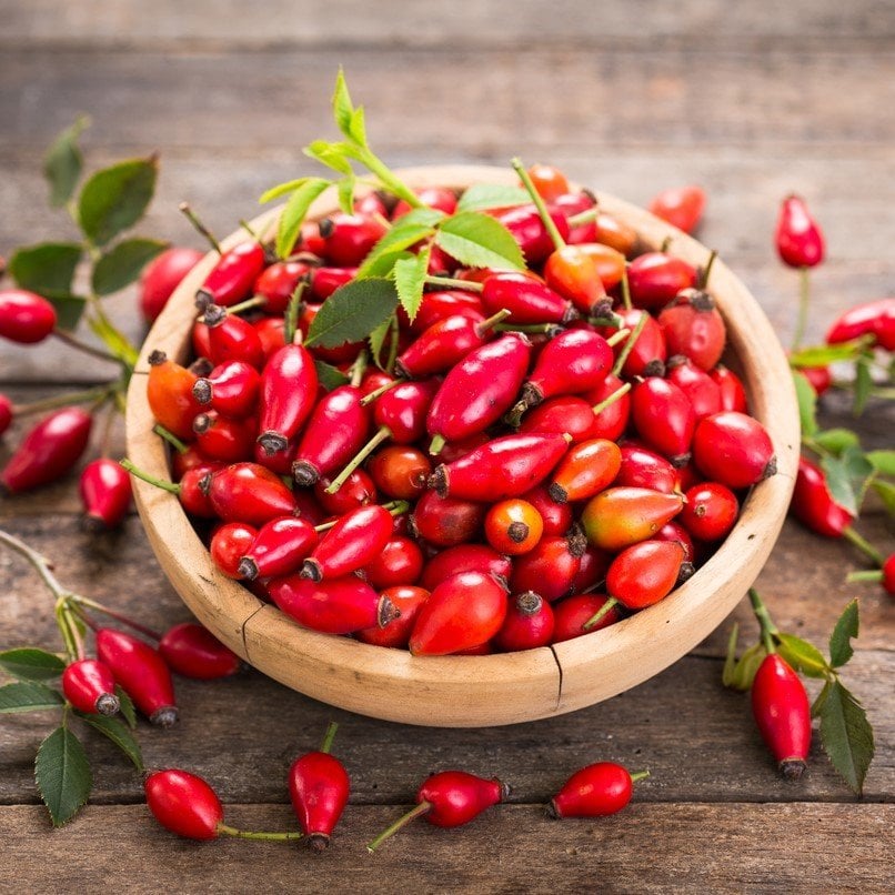 Şifalı Kuşburnu Tohumu (30 adet)