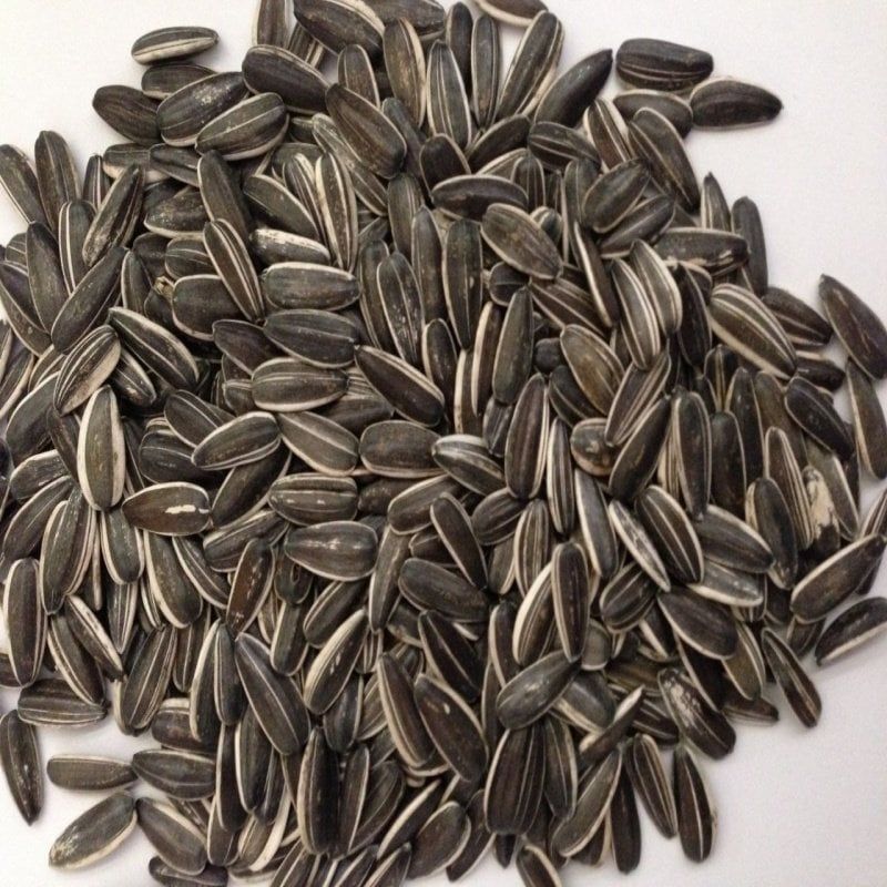 Siyah Çerezlik Çitlemelik Ayçiçeği Çekirdek Tohumu (1 KG)