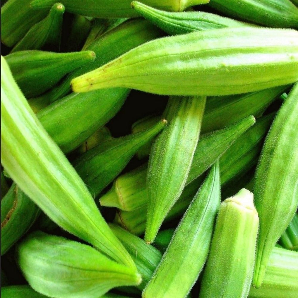 Doğal Anadolu Sultani Bamya Tohumu (50 Tohum)