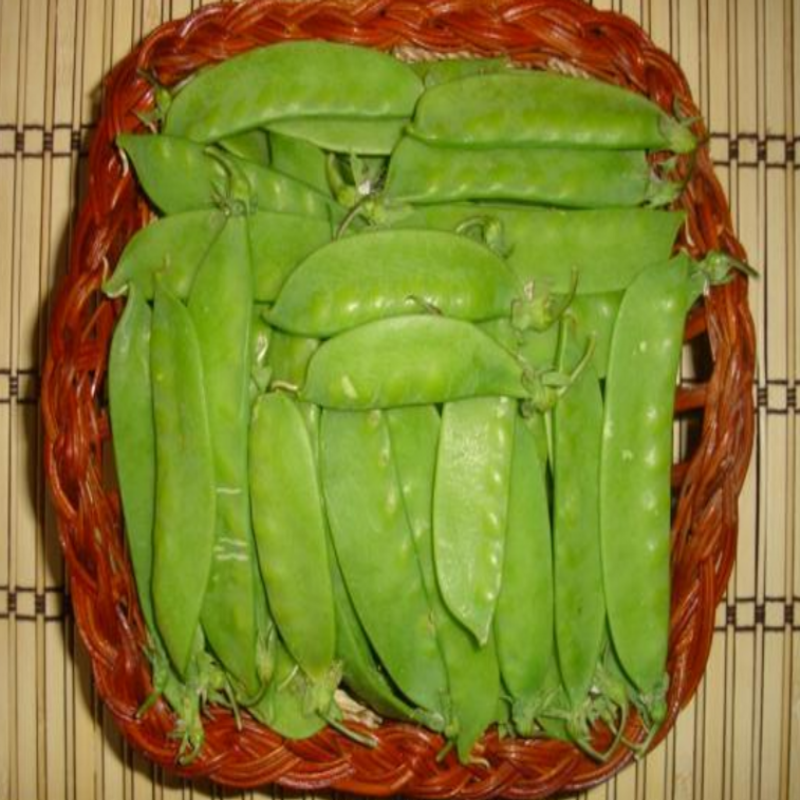 Ata Tohumu Geleneksel Yaprak Bezelye Tohumu (20 Tohum)