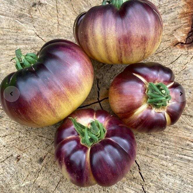 Great White Purple Mor Beyaz Domates Tohumu (15 Tohum)