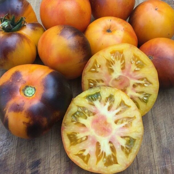 Alacalı İçi Turuncu Lucid Gem Domates Tohumu (15 Tohum)