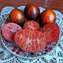 Gargamel Siyah Kırmızı Domates Tohumu (15 Tohum)