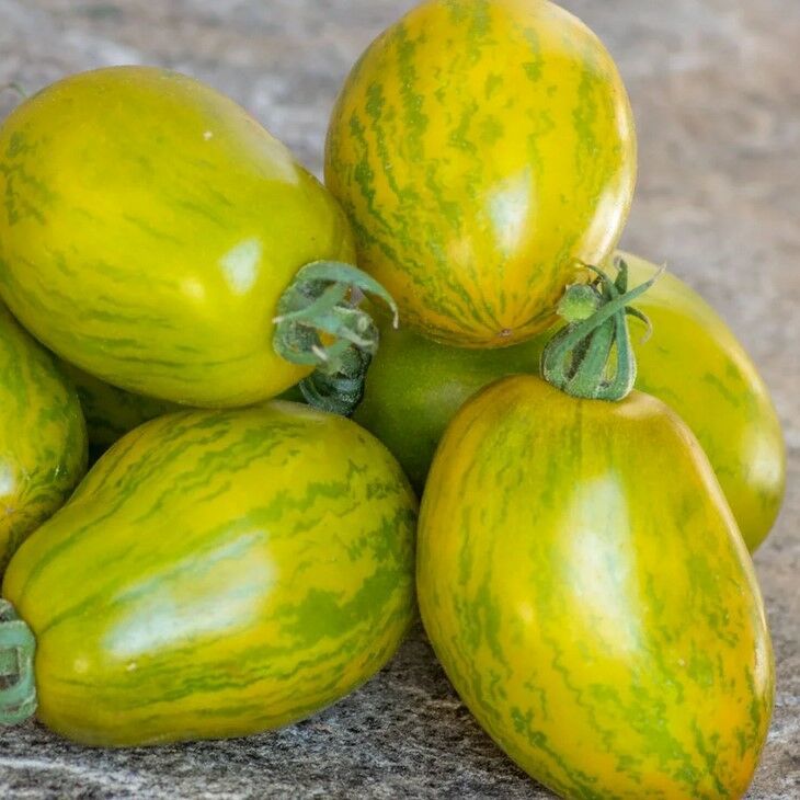 Alacalı Dwarf Saucy Mary Yeşil Sarı Etli Domates Tohumu (15 Tohum)