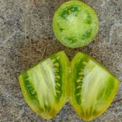 Alacalı Dwarf Saucy Mary Yeşil Sarı Etli Domates Tohumu (15 Tohum)