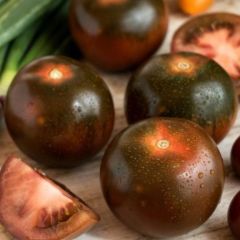 Black Prince Salkım Meyveli Domates Tohumu (15 Tohum)