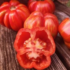 Çizgili Striped Cavern Domates Tohumu (15 Tohum)