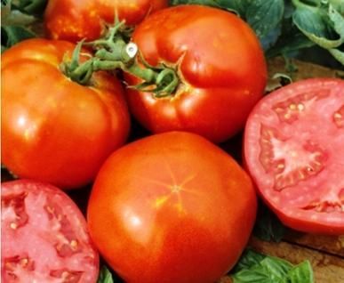 Doğal Homestead Domates Tohumu (20 Tohum)