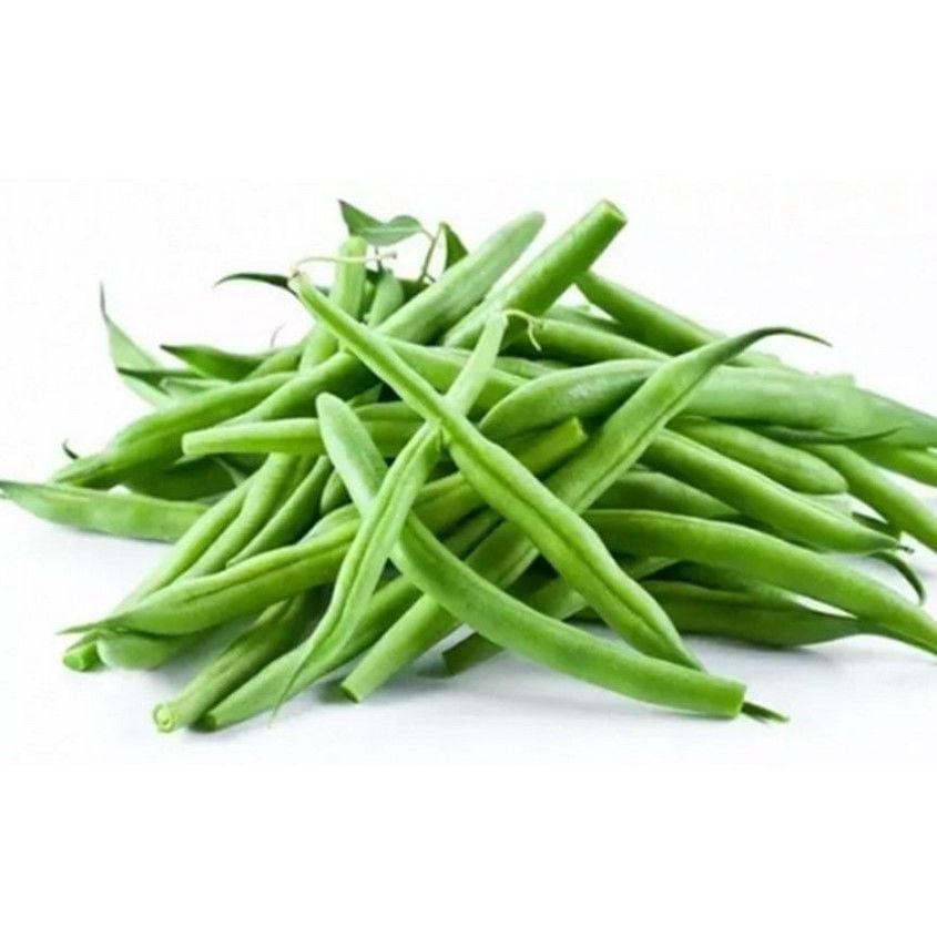 Sazova 40 Günlük Geleneksel Doğal Fasülye Tohumu (20 Tohum)