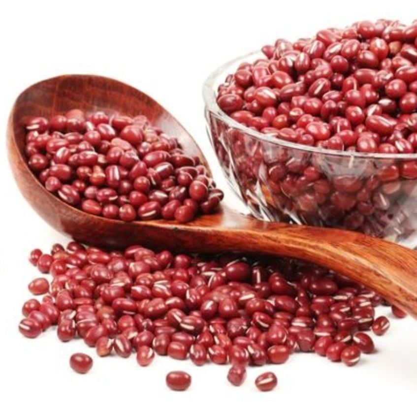 Geleneksel Mexica Red Bean Kırmızı Oturak Fasulye Tohumu (10 Tohum)
