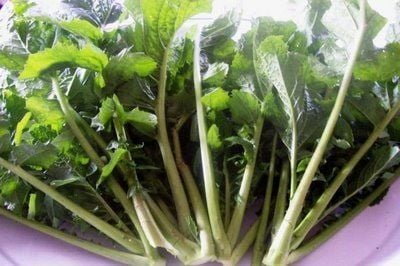 Doğal Hardal Otu Tohumu (100 Tohum)