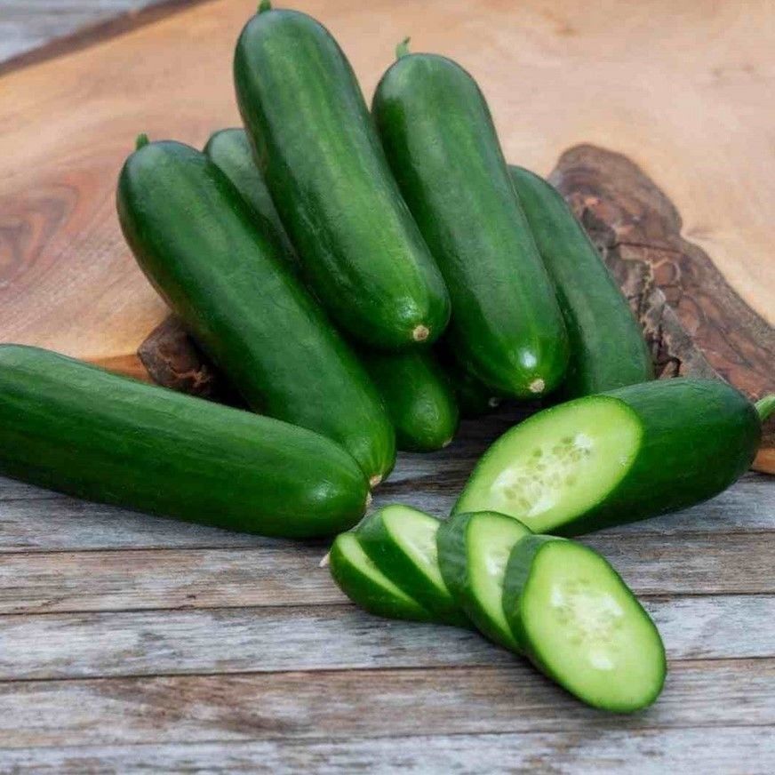 Geleneksel Doğal Çengelköy Salatalık Hıyar Tohumu (20 Tohum)