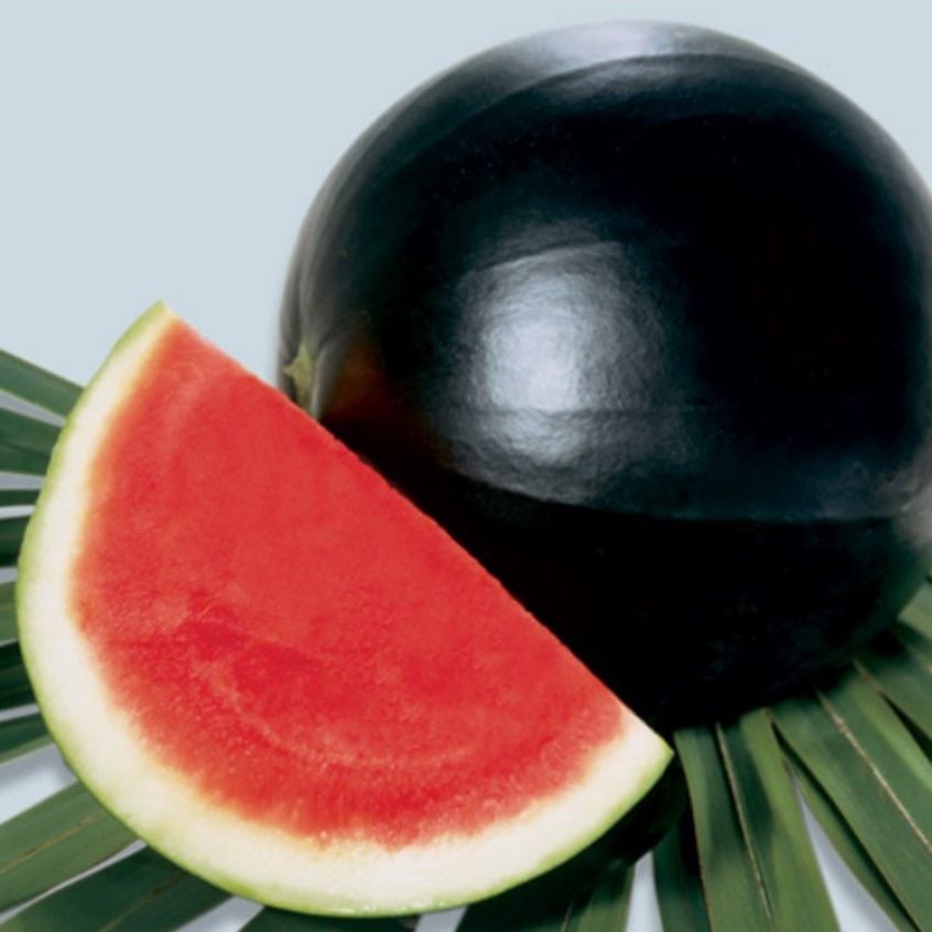 Geleneksel Siyah Washington Karpuz Tohumu (20 Tohum)