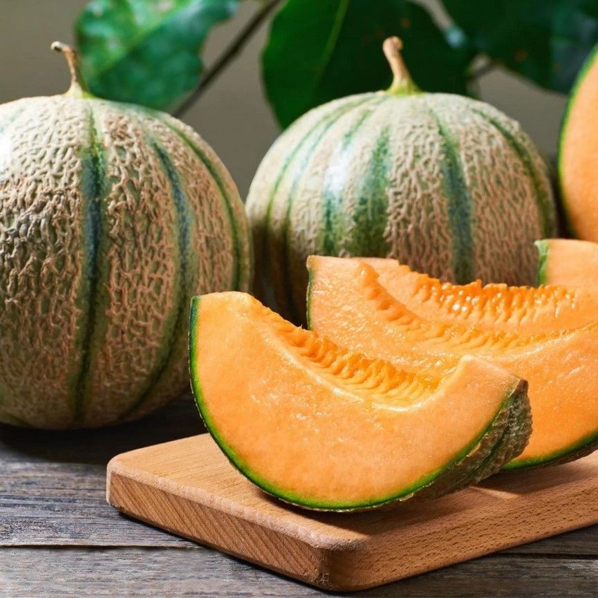 Geleneksel Gurme Charentais Kavun Tohumu (5 Tohum)