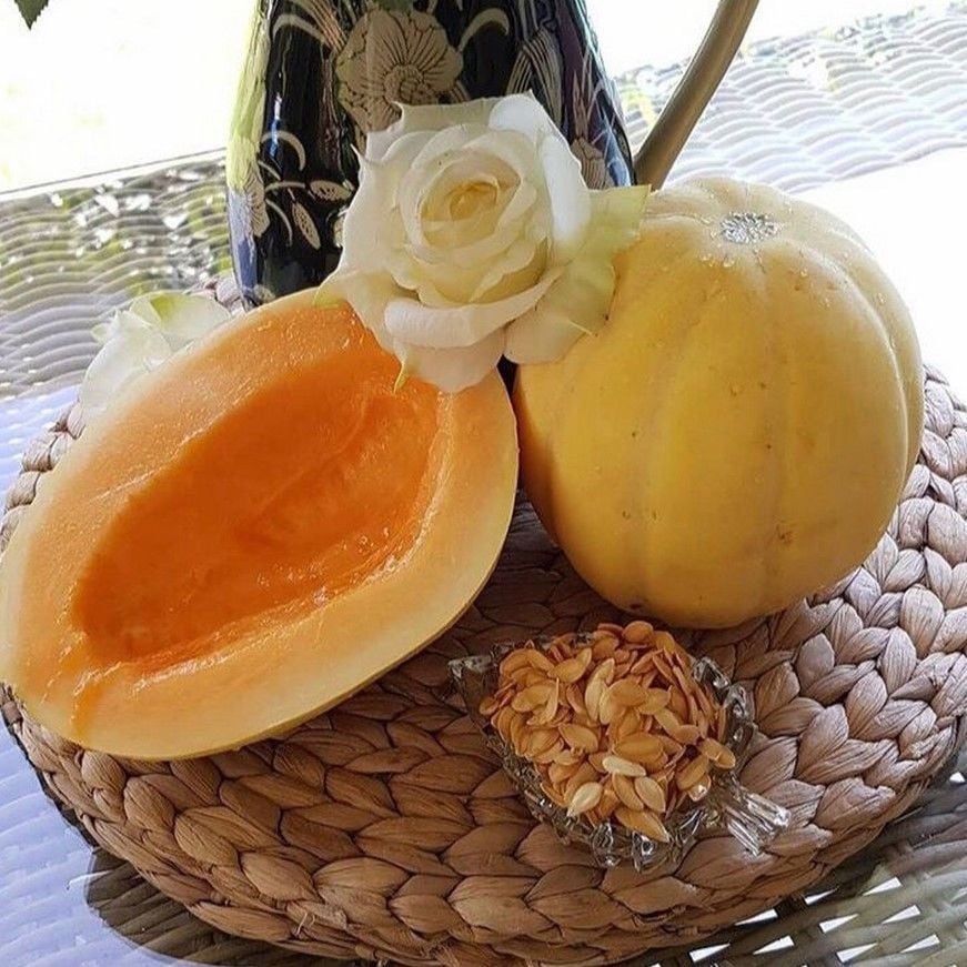 Doğal Gönen Kavun Tohumu (20 Tohum)