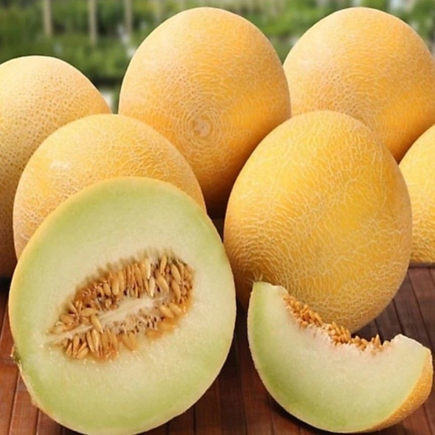 Geleneksel Ata Tohumları Yoğun Kokulu Toros Sarıbal Tohumu (20 Tohum)