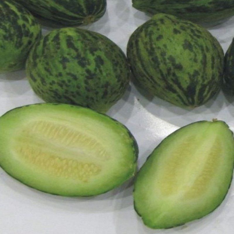 Geleneksel Meriç Turşuluk Kavun Tohumu (20 Tohum)