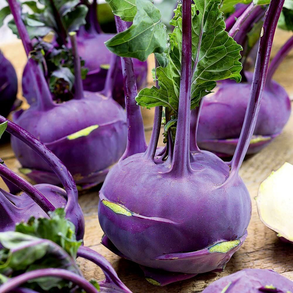 Doğal  Mor Kohlrabi (Alabaş) Tohumu (15 Tohum)