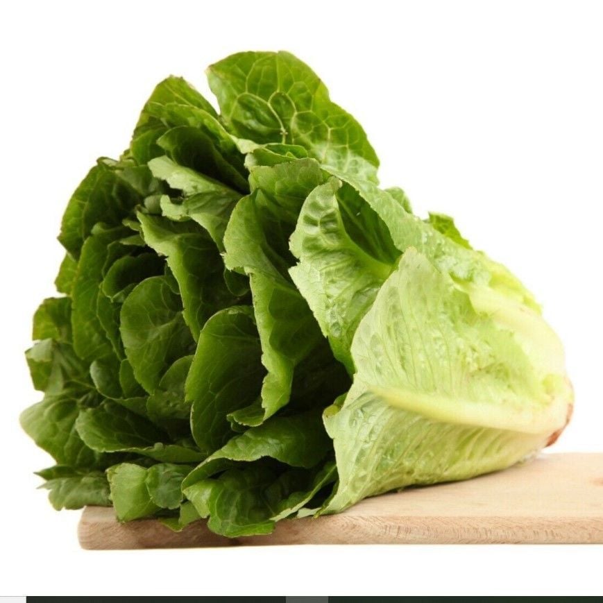 Ata Tohumları Yedikule Marul Tohumu (100 Tohum)