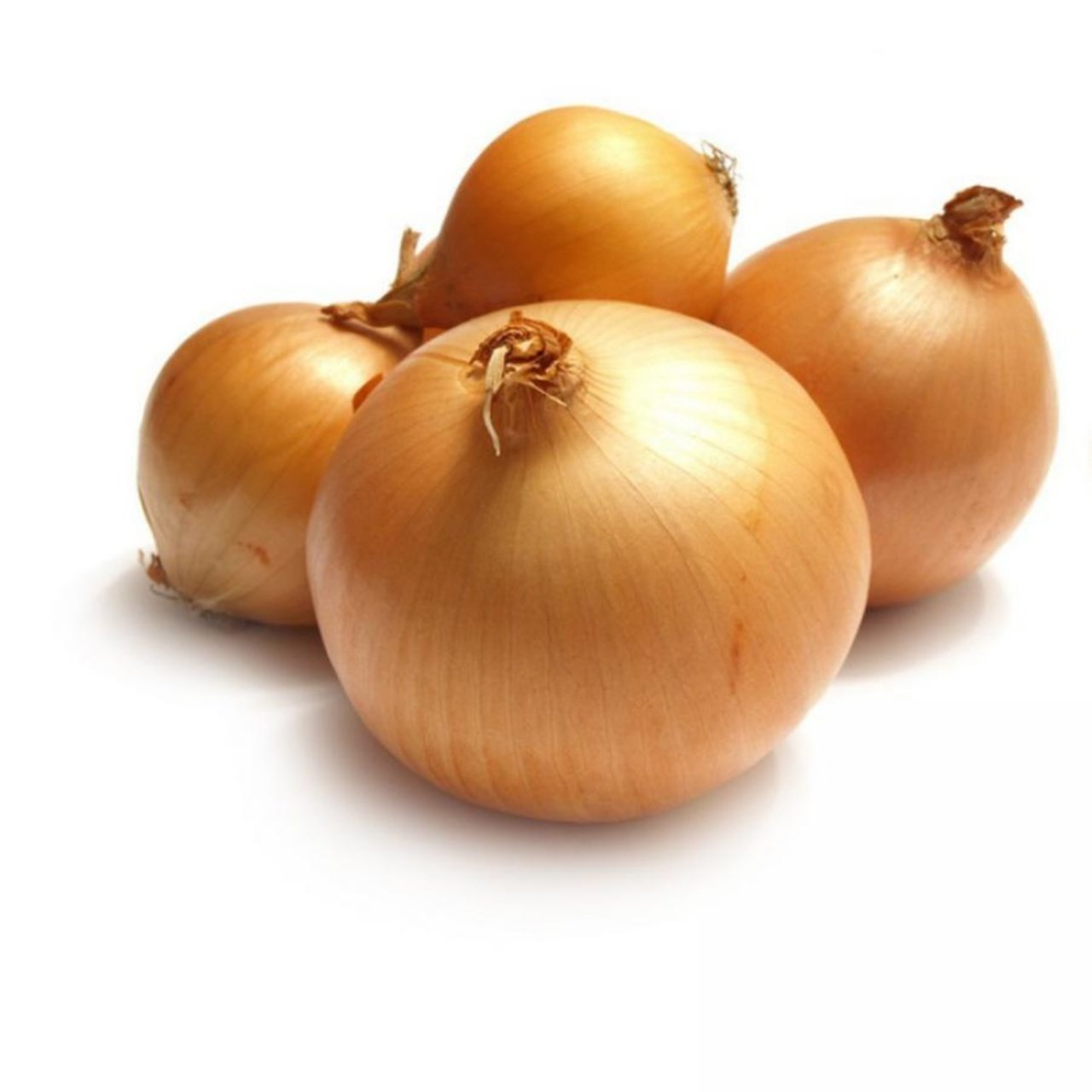 Doğal Bankon Soğan Tohumu (50 Tohum)