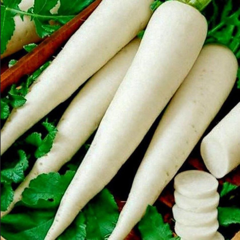 Doğal Anadolu Lezzetli Uzun Beyaz Turp Tohumu (50 Tohum)