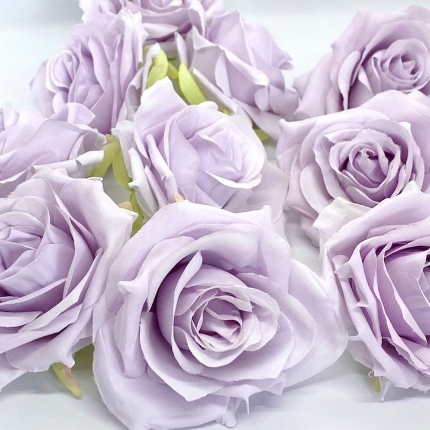 Tüplü Yediveren Eflatun Lila Salzburg Yoğun Kokulu Gül Fidanı