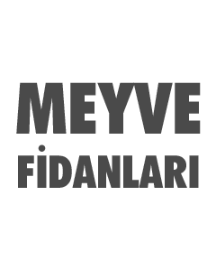 meyve fidanları