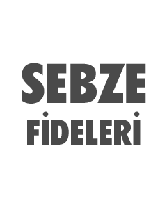 sebze fidelerimiz