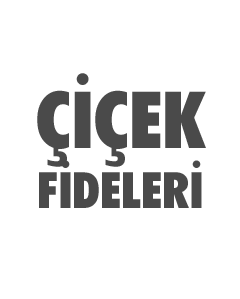 çiçek fidelerimiz