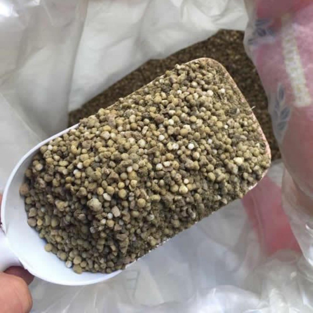 Güllerde Gonca Gelişim Gübresi