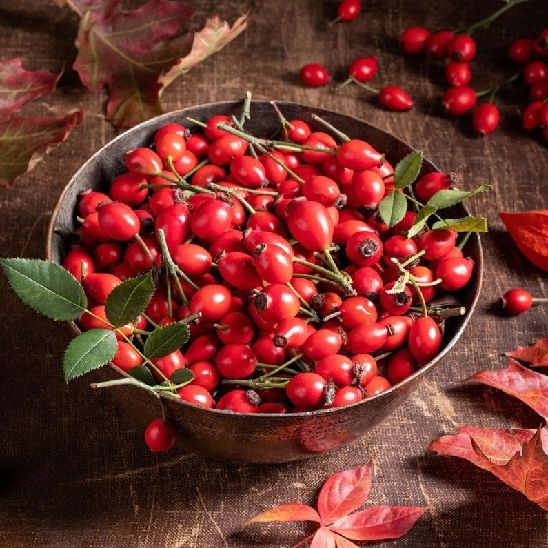 Doğal Dikensiz Kuşburnu Tohumu (20 tohum)