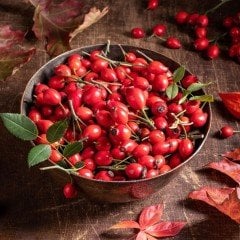 Doğal Dikensiz Kuşburnu Tohumu (20 tohum)