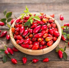 Şifalı Kuşburnu Tohumu (30 adet)