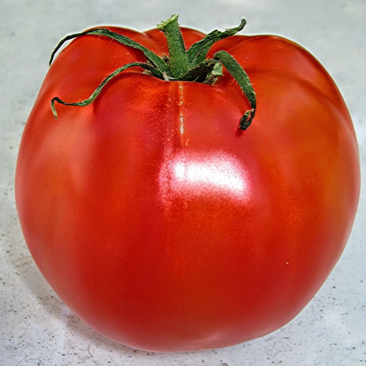 F1 Aşılı Tybeef Köy Domatesi Fidesi (4 adet)