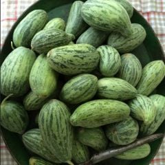 Doğal Anadolu Badem Acur Tohumu (20 Tohum)