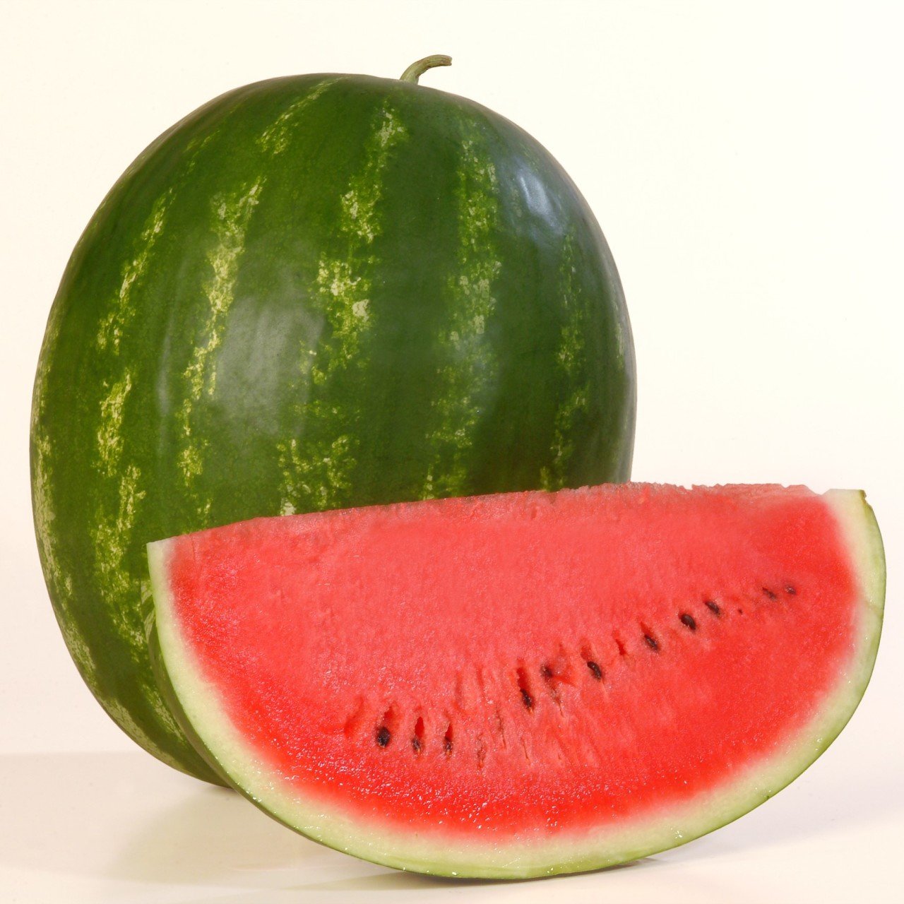 Watermelon Karpuz Fidesi (5 Fide)