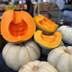 Ata Tohumu Arıcan Tatlılık Reçellik Balkabağı Tohumu (10 Tohum)