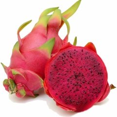 Tüplü Kırmızı Pitaya Ejder Meyvesi Fidanı