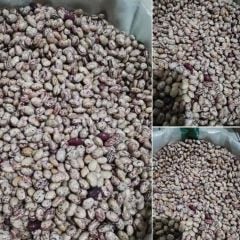 Anadolu Ata Tohum Artvin Kara Sırık Barbunya Tohumu (10 Tohum)