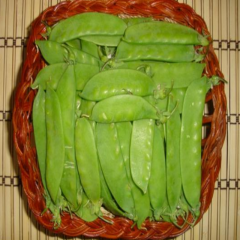 Ata Tohumu Geleneksel Yaprak Bezelye Tohumu (20 Tohum)