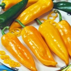 Nadir Tür Corno Di Toro Giallo Sarı İtalyan Kapya Biber Tohumu (10 Tohum)