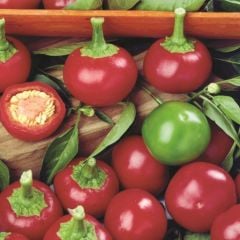 Red Cherry Tatlı Biber Tohumu (50 Tohum)