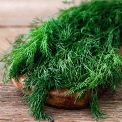 Doğal Geleneksel Uzun Dere Otu Tohumu( 200 Tohum )