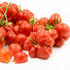 Kırmızı Voyego Domates Tohumu (15 Tohum)