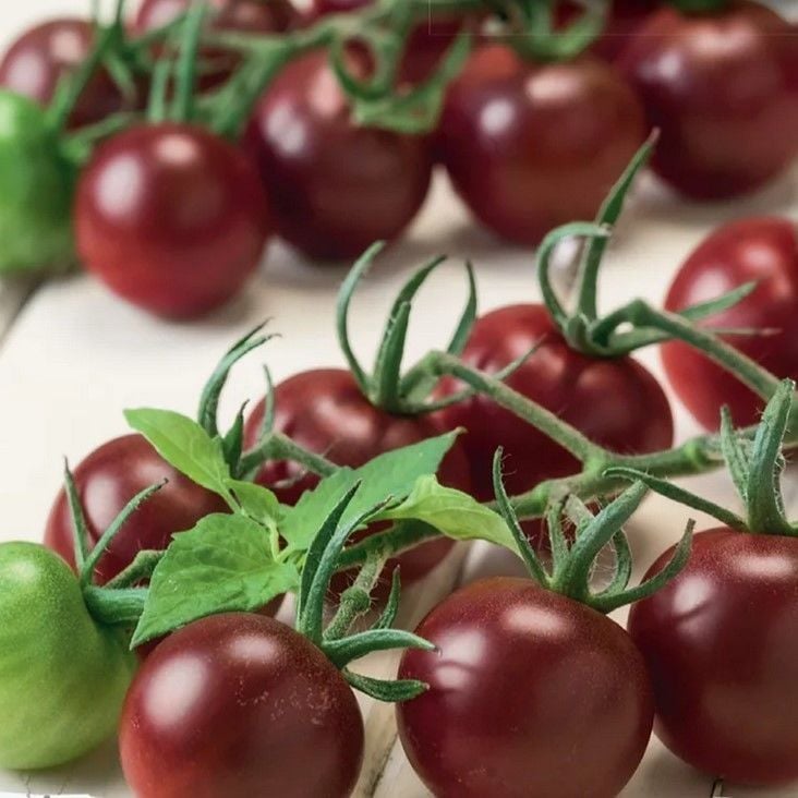 Yüksek Aromalı Chocolate Cherry Domates Tohumu (15 Tohum)