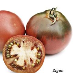 Alacalı Zigan Etli Armut Domates Tohumu (15 Tohum)