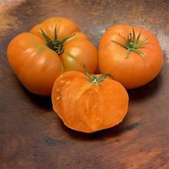 İri Meyveli Etli Dr.Wyche's Yellow Domates Tohumu (15 Tohum)