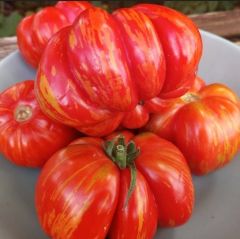 Çizgili Striped Cavern Domates Tohumu (15 Tohum)