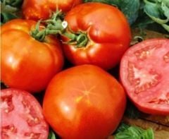 Doğal Homestead Domates Tohumu (20 Tohum)